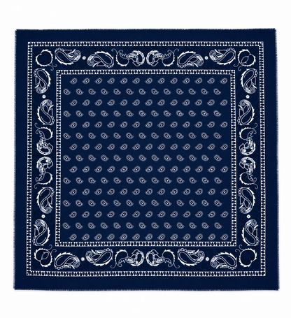 Pañuelo Estampado Paisley