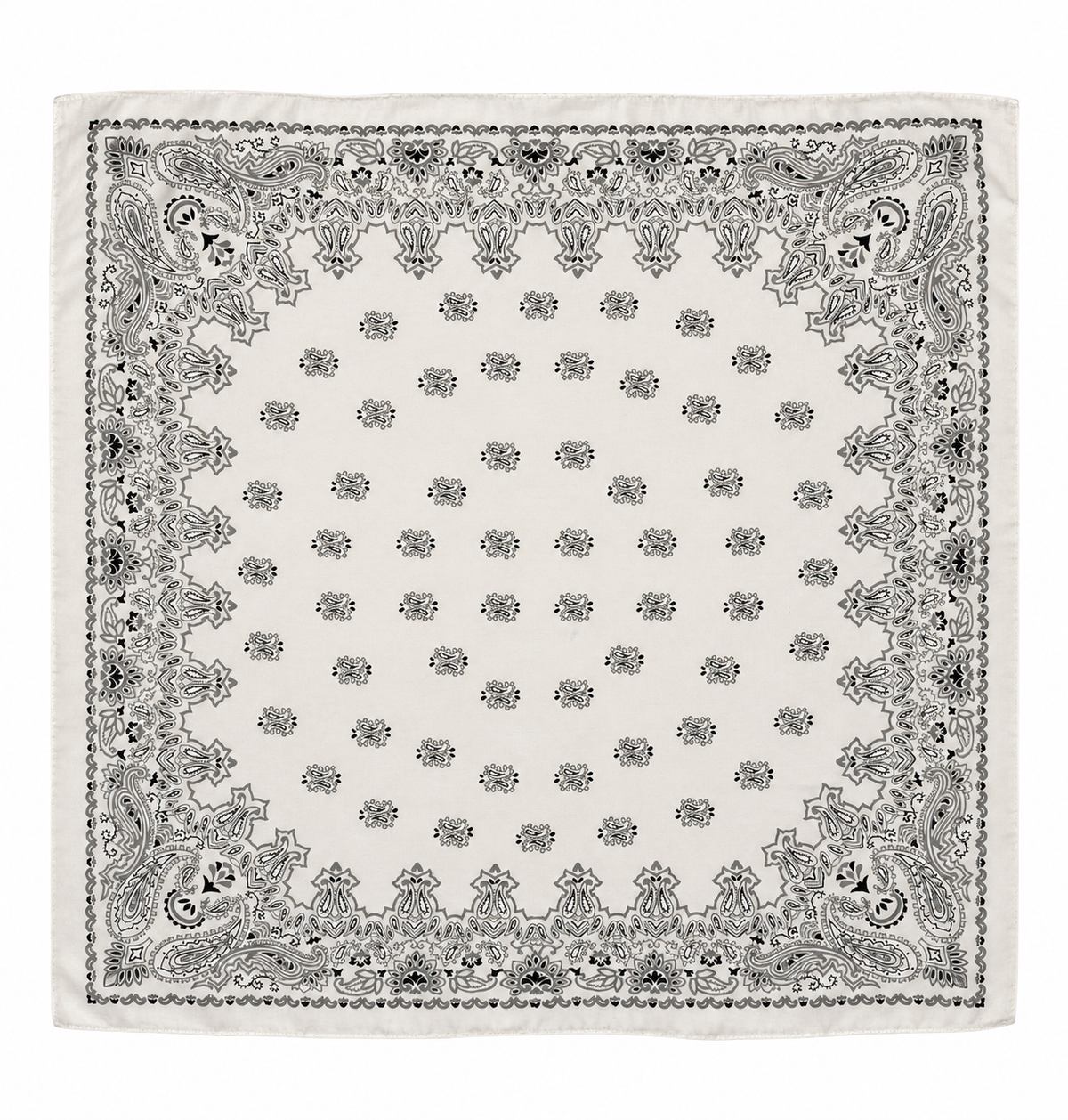 Pañuelo Paisley
