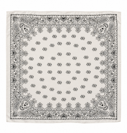 Pañuelo Paisley
