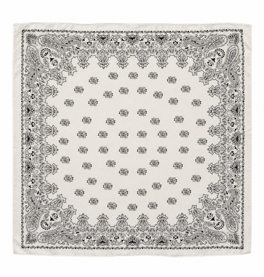 Pañuelo Paisley