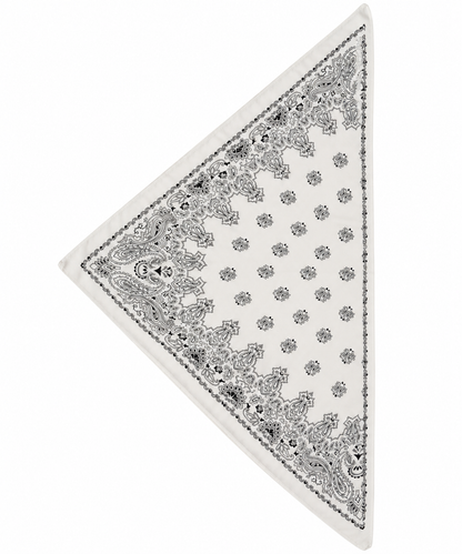 Pañuelo Paisley
