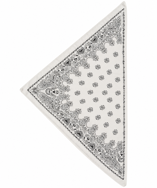 Pañuelo Paisley