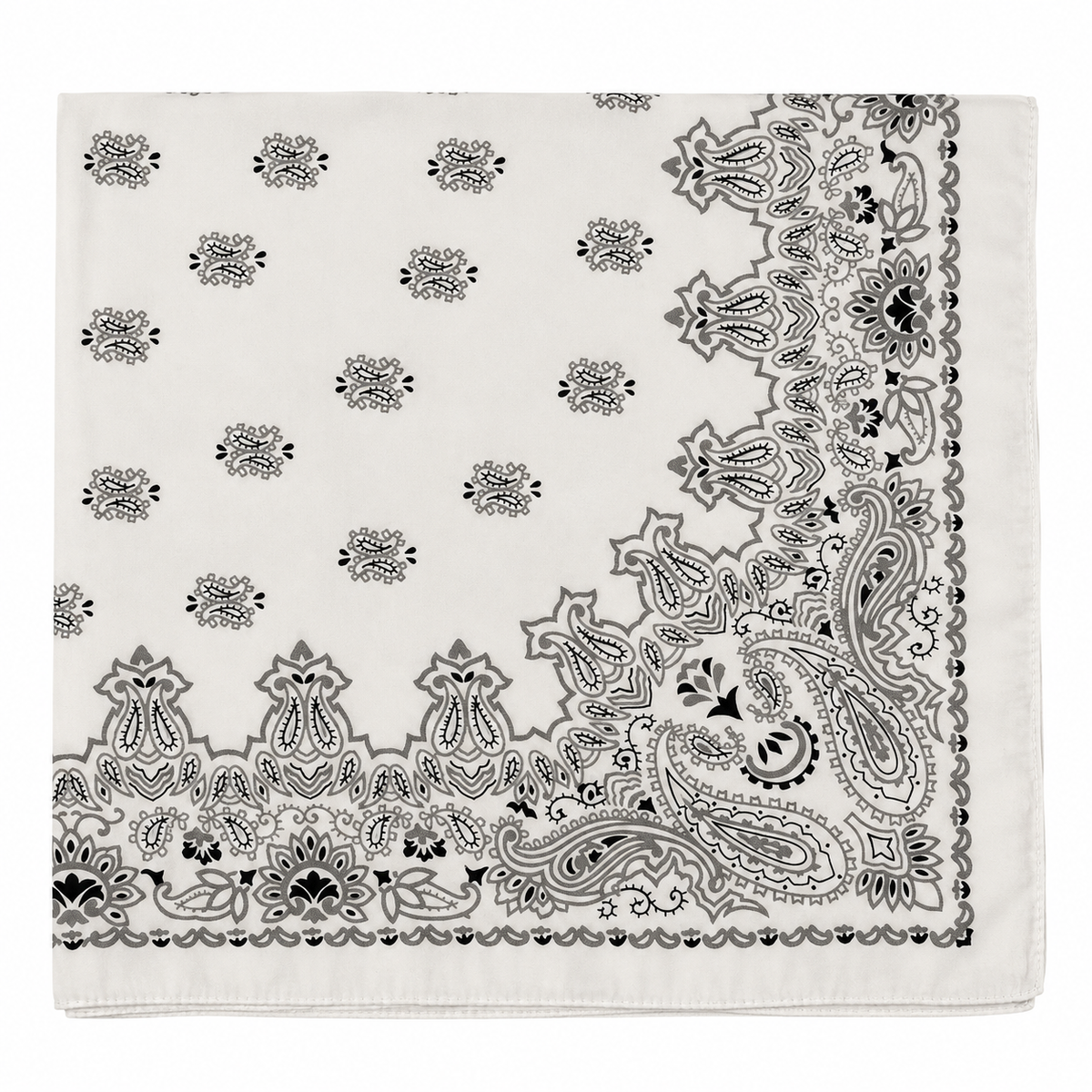 Pañuelo Paisley