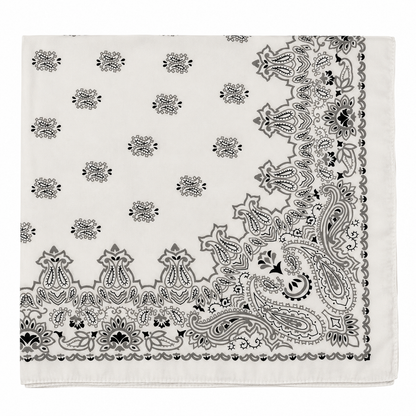Pañuelo Paisley